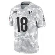 Cincinnati Bengals Men's Xavier Johnson Limited 2024 Salute to Service Jersey - Arctic Camo